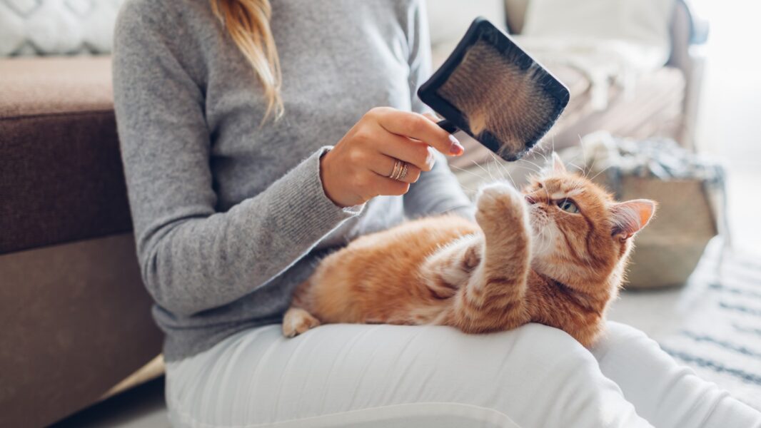 Des poils partout ? Pas chez moi !