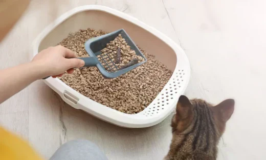 Litière qui sent bon, mission possible !