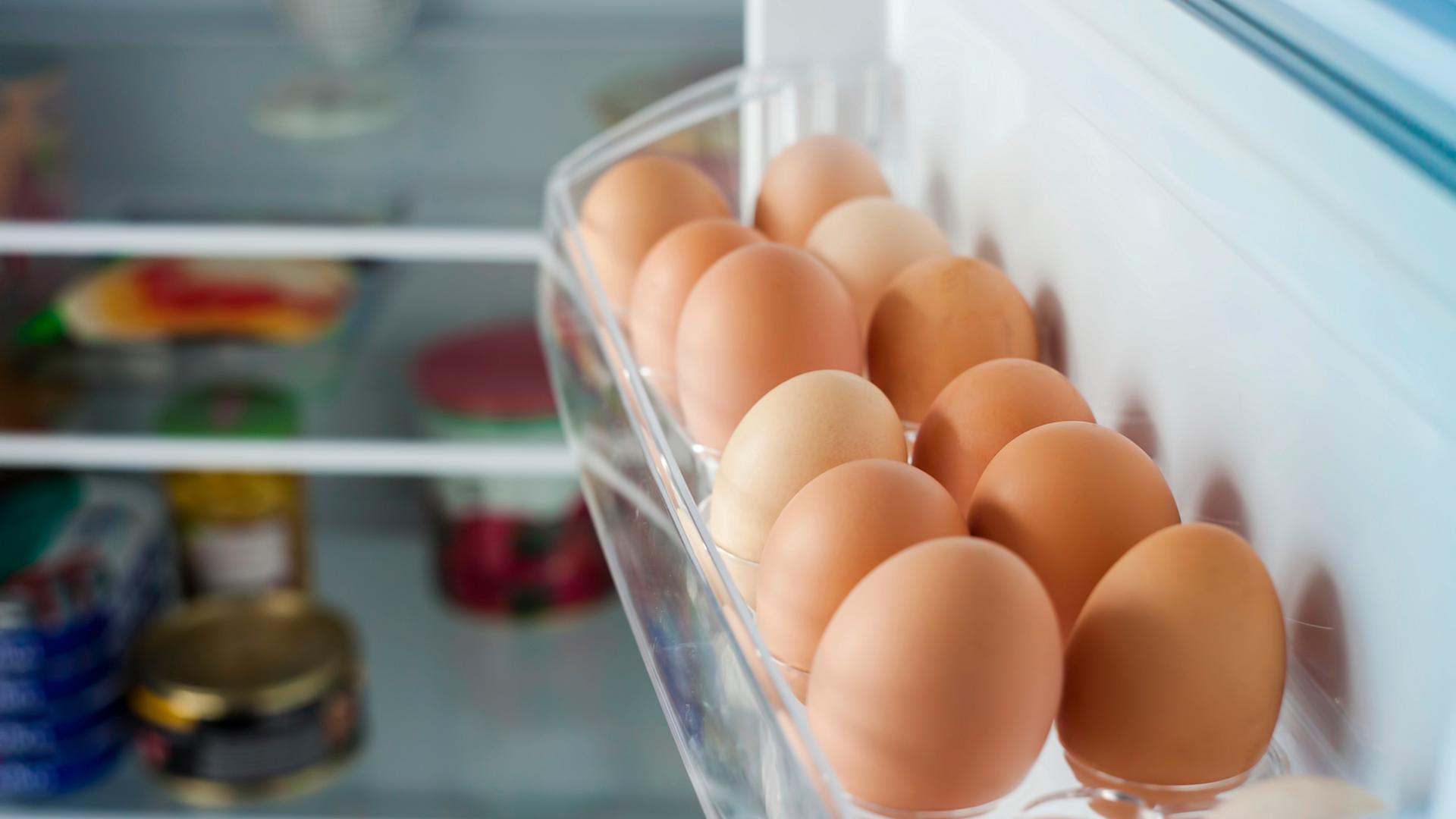 Des œufs qui se gardent des semaines